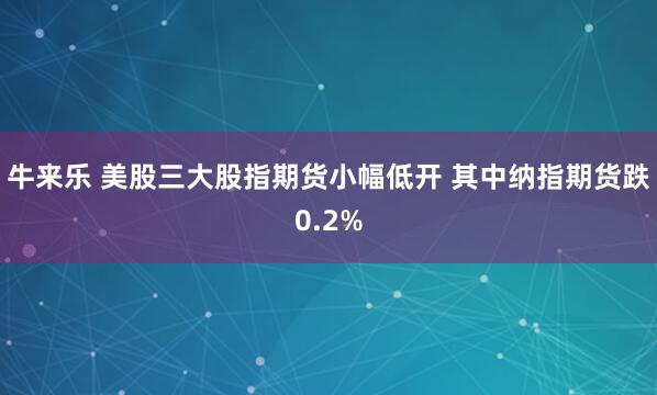 牛来乐 美股三大股指期货小幅低开 其中纳指期货跌0.2%